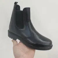 لوازم سوارکاری میلاد|اسب و تجهیزات اسبسواری|تهران, خلیج فارس|دیوار