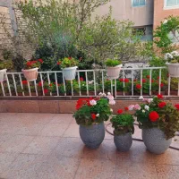 خانه ویلایی کلنگی  ۲۸۰ متری ارتفاع دار  بیشه حبیب|فروش خانه و ویلا|اصفهان, صائب|دیوار
