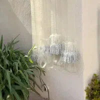 تور تایلندی درجه یک|ماهیگیری|اصفهان, چرخاب|دیوار