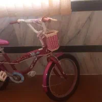 دوچرخه دخترانه   ۲۰  سالم