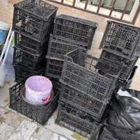 سبد میوه|ظروف نگهدارنده، پلاستیکی، یک‌بارمصرف|دماوند, گیلاوند|دیوار