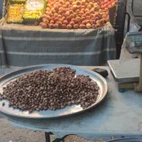 زامیاد|خودرو سواری و وانت|شیراز, میانرود|دیوار