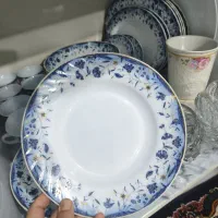 سرویس ارکوپال فرانسه