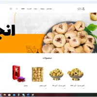 طراحی سایت صفر تا صد|خدمات رایانه‌ای و موبایل|شیراز, باهنر|دیوار