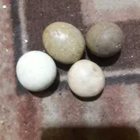 سنگ های راف قیمتی قدیمی واصلی