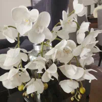 گلدان گل ارکیده