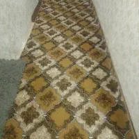 نو نو میباشد
