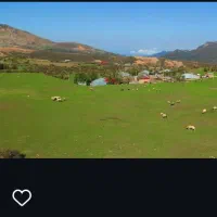 فروش زمین 1000متری در شمال منطقه یلاقی دیلمان