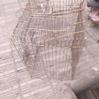 قفس بزرگ وقفس کوچک