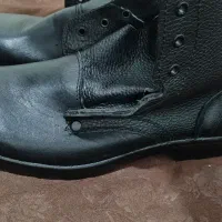 پوتین پاما ۴۴