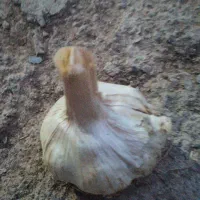 سیر همدان