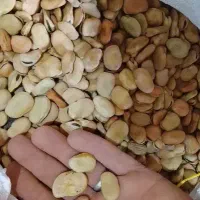 باقالا باقالی زیر قیمت بازار|خوردنی و آشامیدنی|قم, زند آباد|دیوار