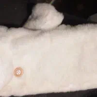 دسنکش دخترانه|لباس|تبریز, |دیوار