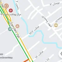 هم خانه خانم جهت زندگی