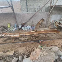 اسلب گردو 8متری