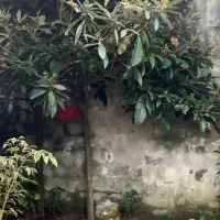 خانه-ویلایی-ساغریسازان