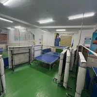 میز پینگ پنگ نیتاکو|ورزشهای توپی|ارومیه, |دیوار