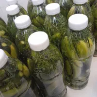 خیارشور بهداشتی  هم دبه ای موجود است هم بطری|خوردنی و آشامیدنی|دیواندره, |دیوار