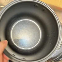 پلوپز برقی ناسا الکتریک مدل NS-3074