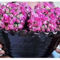 عرقیجات حریر شاین بدون مواد نگهدارنده