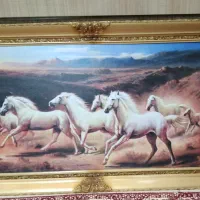 قاب دیواری|تابلو، نقاشی، عکس|کرمان, |دیوار