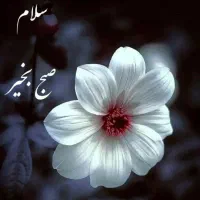 استخدام خانم آشپزی و نظافت برای خانواده