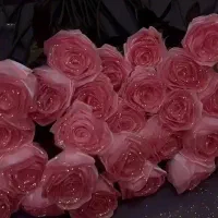 گل رز ربانی