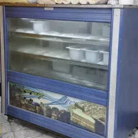 فریزر صنعتی