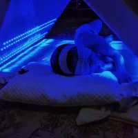 اجاره دستگاه زردی نوزاد در منزل LED فول اتوماتیک