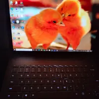 surface سرفیس بوک ۲|رایانه همراه|مشهد, امام خمینی|دیوار
