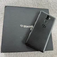 blackberry evolve