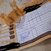 دستبند و دوتا سکه پارسیان