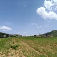 زمین-سروک-زیر-تالار-لاله
