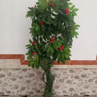 درخت تزئیناتی