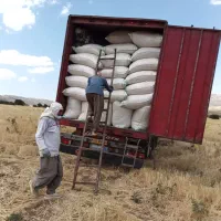 کاه|عمده‌فروشی|اسلام‌‌آباد غرب, |دیوار