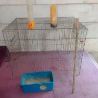قفس پرنده