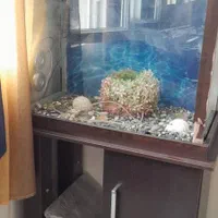 آکواریوم و لوازم با کمد ام دی اف