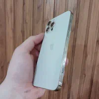 آیفون ۱۲ پرو|موبایل|مشگین شهر, |دیوار