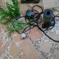 تعدادی لوازم اکواریوم|ماهی|رشت, فرزانه|دیوار