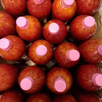 آب زرشک آلبالو انار آبمیوه طبیعی ذغال اخته شاتوت|خوردنی و آشامیدنی|تهران, امیریه|دیوار