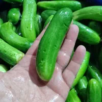 همکار..|خوردنی و آشامیدنی|لیکک, |دیوار