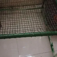 تخت آهنی برای نانوایی و حمل تمام وسایل سنگین|مصالح و تجهیزات ساختمان|اهواز, کمپلو شمالی|دیوار