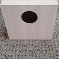 عروس هلندی|پرنده|تهران, نیروی دریایی|دیوار