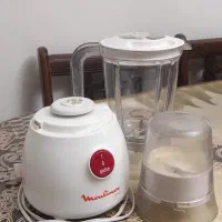 مخلوط کن و آسیاب خرد کن مولینکس