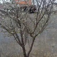 کارگاه در مجتمع صنعتگران
