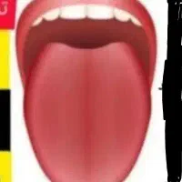 زبان شناسی و طب سنتی