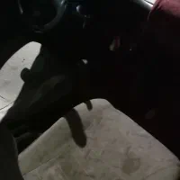 پراید  قرمز صدفی|خودرو سواری و وانت|مریوان, |دیوار