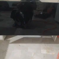 هود درحد نو