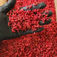 دانه اناری و پفکی