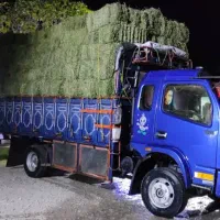 کاویان کاپیتان دو کابین